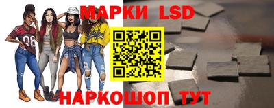 гидропоника Камышлов
