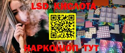 гидропоника Камышлов