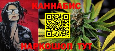 гидропоника Камышлов