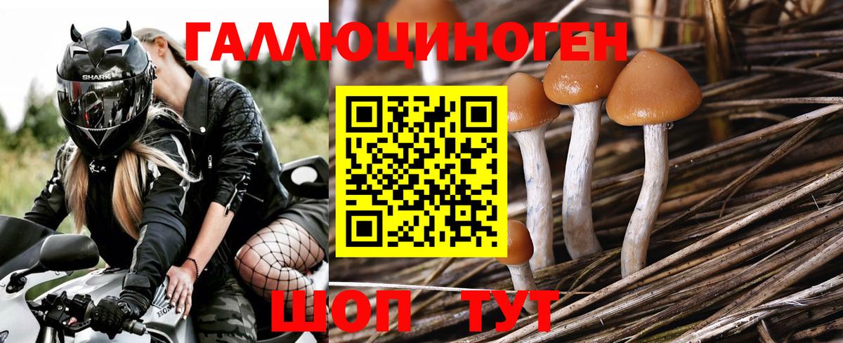 Галлюциногенные грибы Magic Shrooms Черняховск